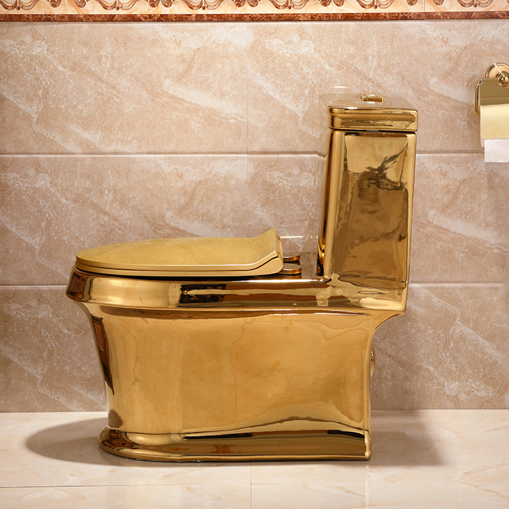Classic Plain Gold Toilet Gold Toilets