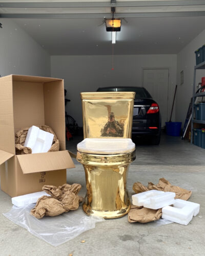 Classic Plain Gold Toilet photo review