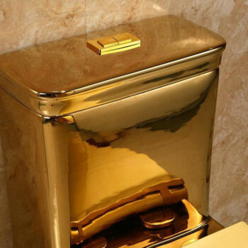 Classic Plain Gold Toilet