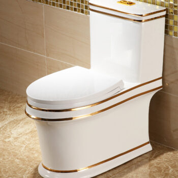 Luxury Toilet With Gold Lines
