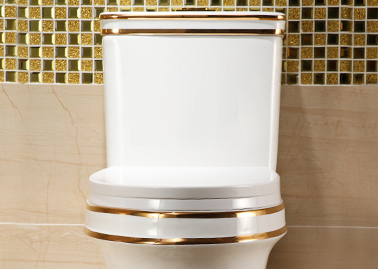 Luxury Toilet With Gold Lines Gold Toilets