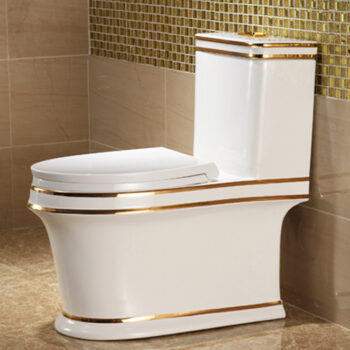 Luxury Toilet With Gold Lines