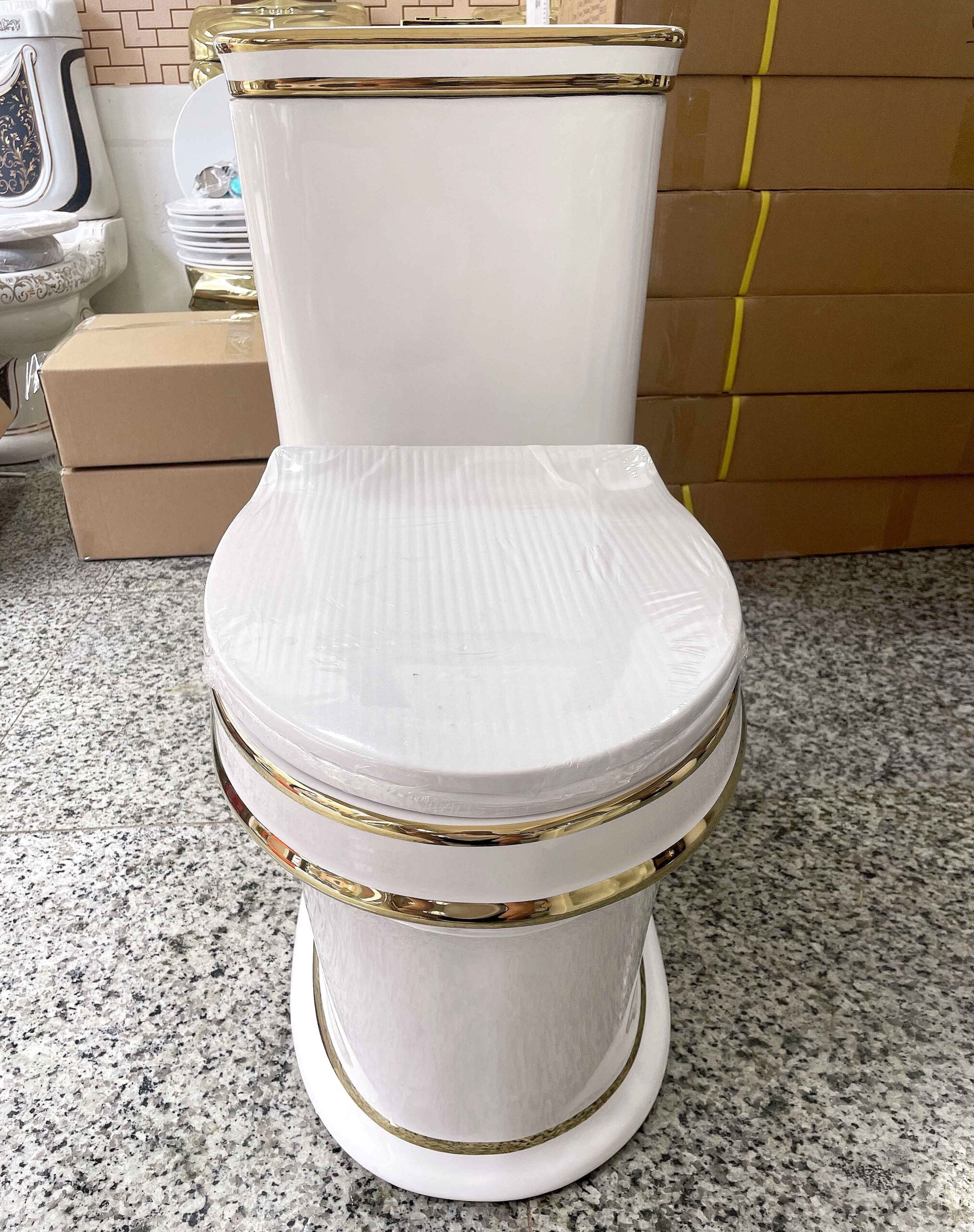 Luxury Toilet With Gold Lines  -  Gold Toilets
