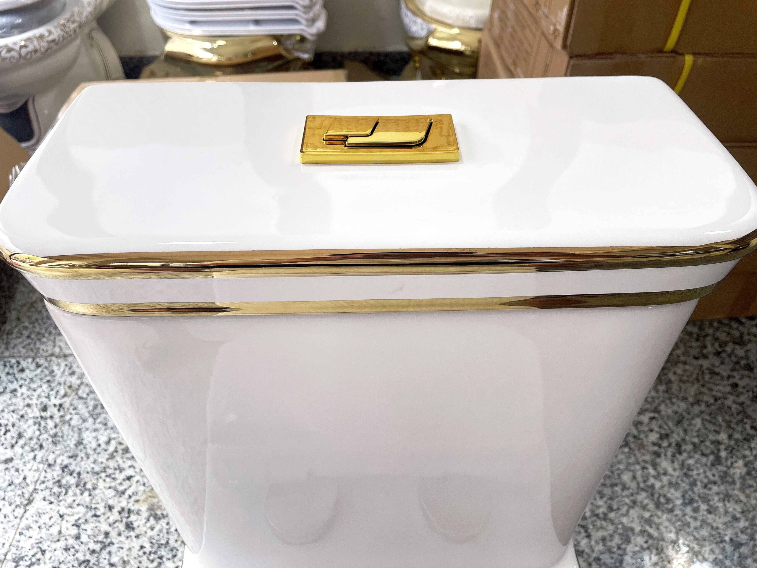 Luxury Toilet With Gold Lines  -  Gold Toilets