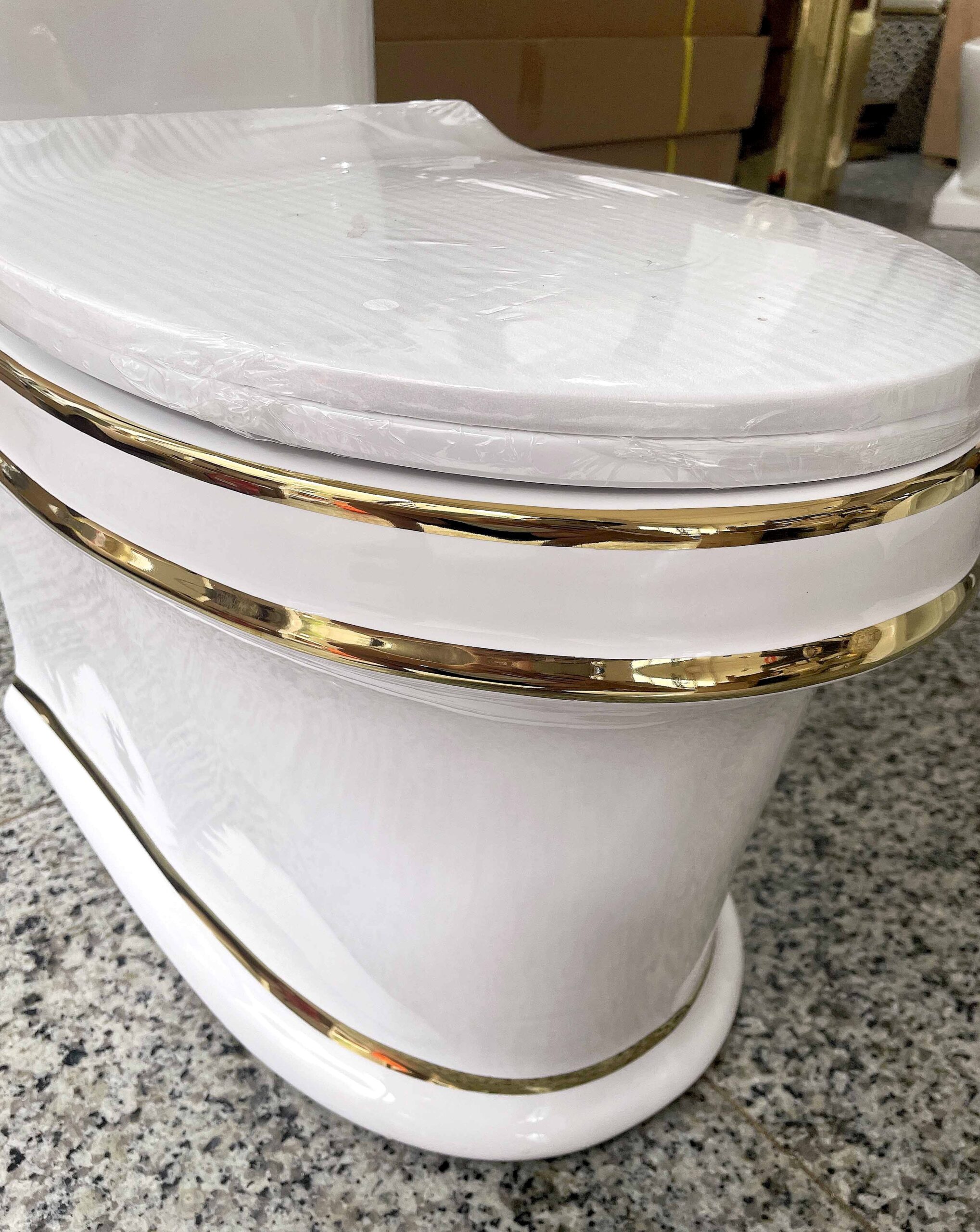 Luxury Toilet With Gold Lines  -  Gold Toilets