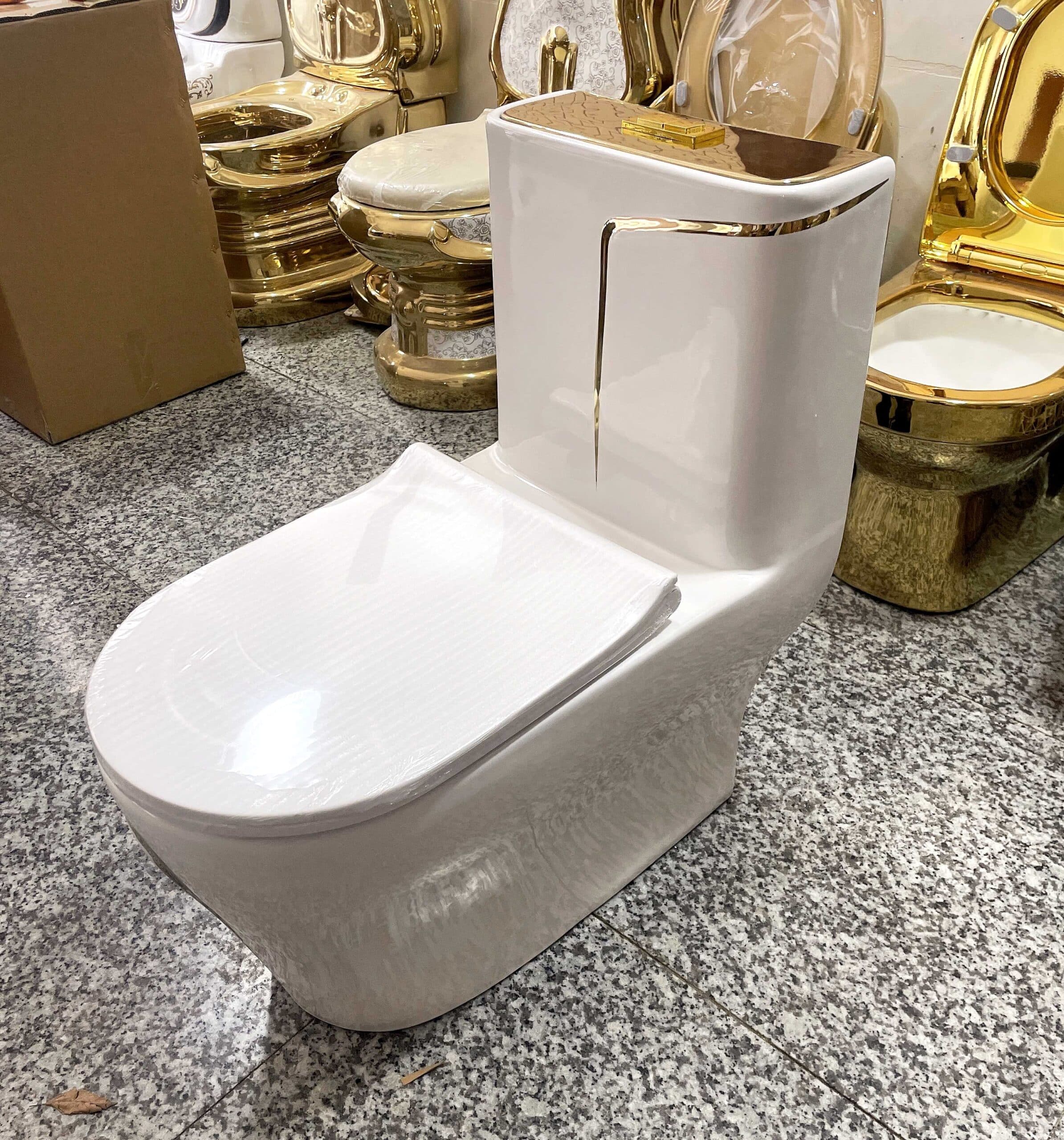 Luxury Toilet With An Elegant Gold Stripe  -  Gold Toilets