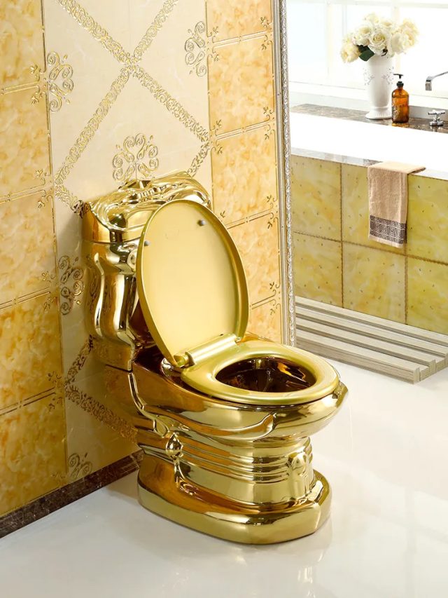 Royal Plain Gold Toilet Royal Toiletry Global