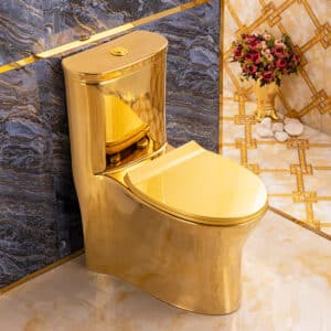 Premium Plain Gold Toilet - Royal Toiletry Global