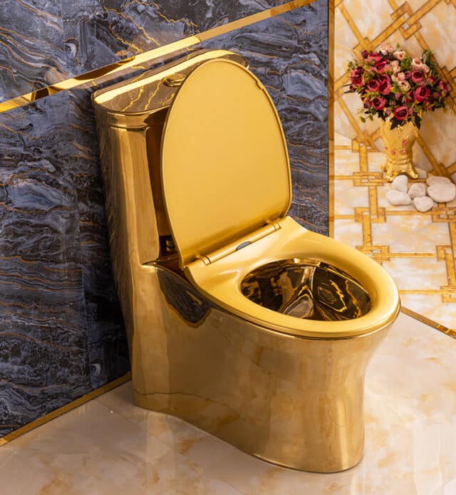 Premium Plain Gold Toilet Royal Toiletry Global
