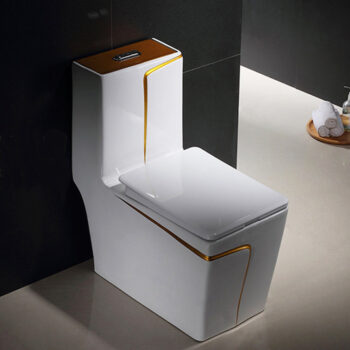 Angular Toilet With An Elegant Gold Stripe