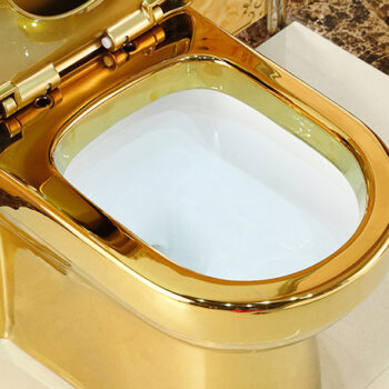 Deluxe Plain Gold Toilet