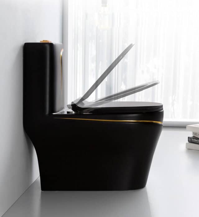 Luxury Black Toilet With An Elegant Gold Stripe Royal Toiletry Global