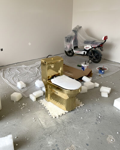 Deluxe Plain Gold Toilet photo review