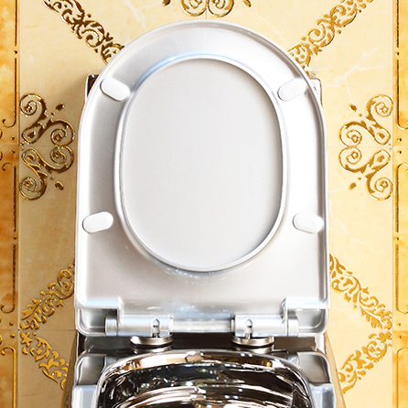 Luxury Design Silver Toilet Silver Toilets