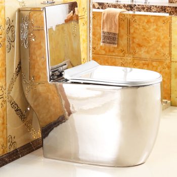 Luxury Design Silver Toilet