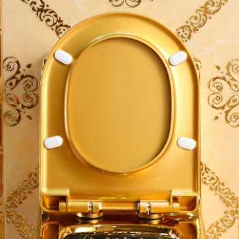 Luxury Plain Gold Toilet