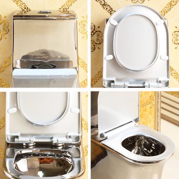 Luxury Plain Silver Toilet