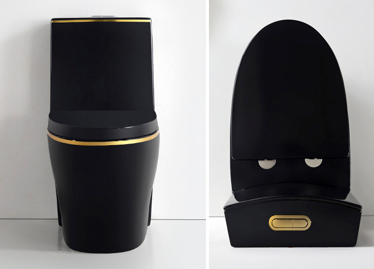 Matte Black Toilet With Elegant Gold Line Gold Toilets