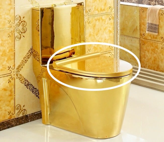 Replacement Seat And Lid For Modern Plain Gold Toilet  -  Toilet Accessories