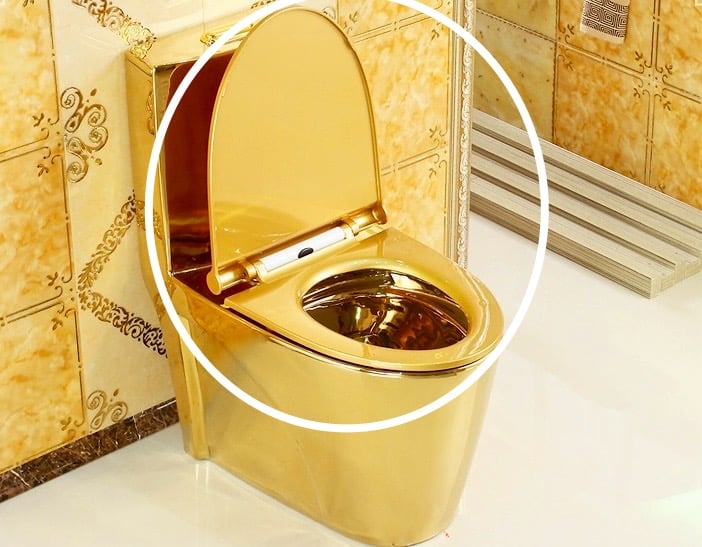 Replacement Seat And Lid For Modern Plain Gold Toilet  -  Toilet Accessories